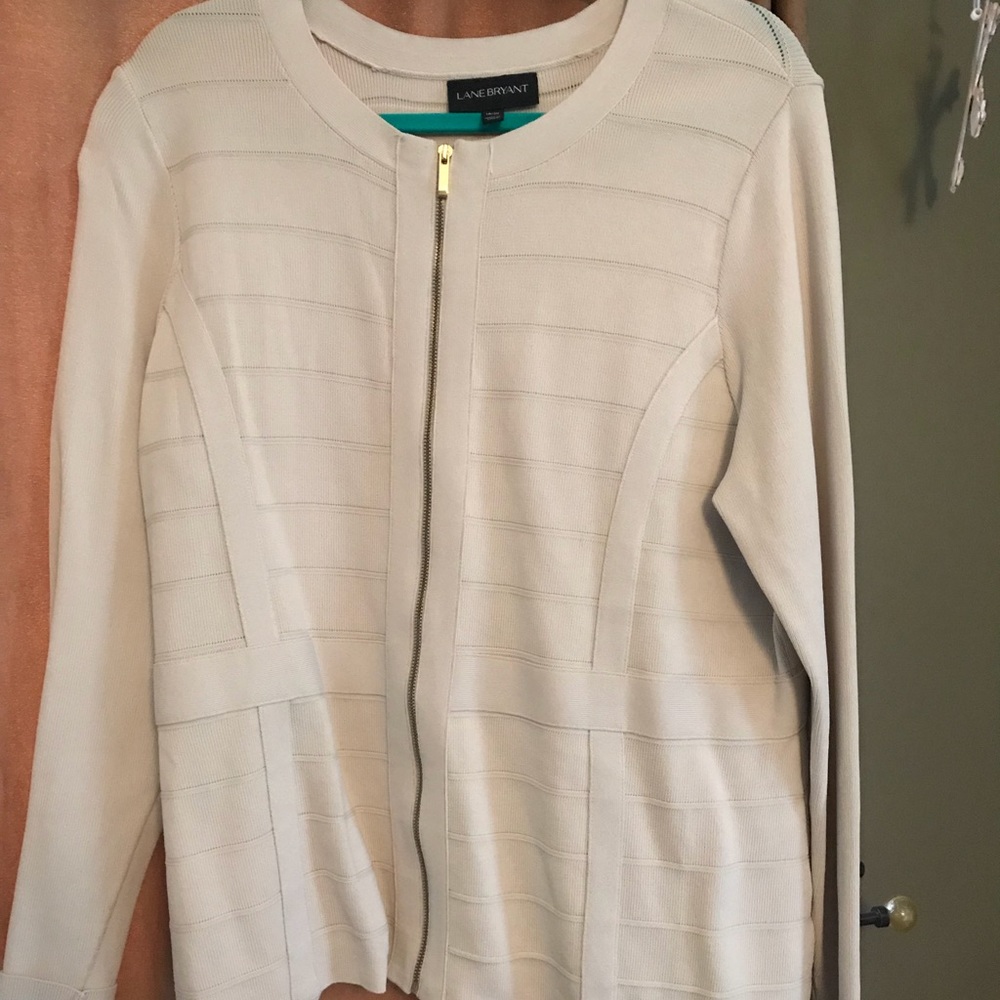 Lane Bryant sweater